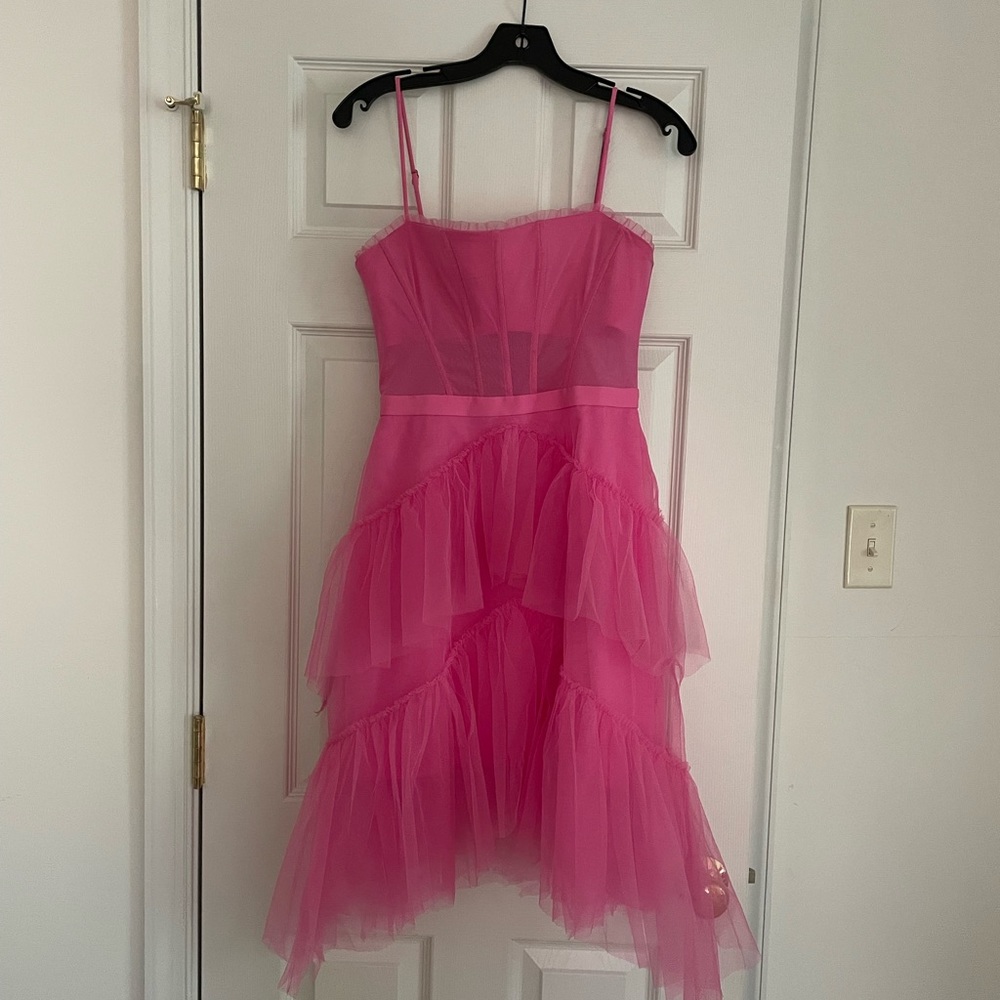 BCBG Hot Pink Corset Tulle Dress